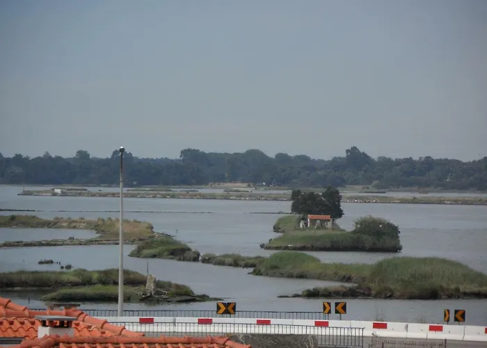 Lägenhet Feeltheland Ria Aveiro